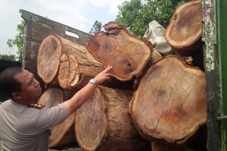 kayu